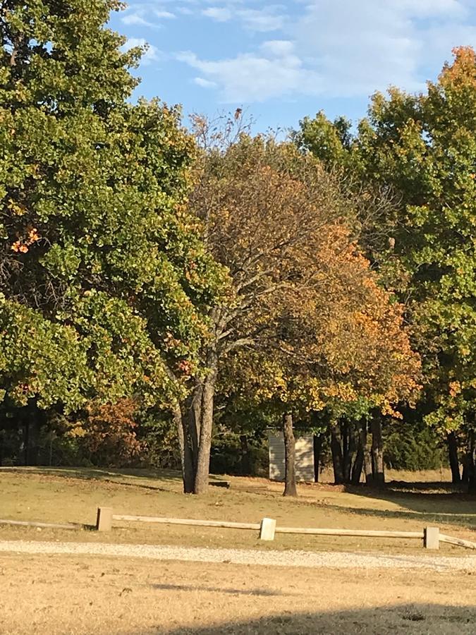 Arrowhead Point Lodge & Campground Kingston 外观 照片